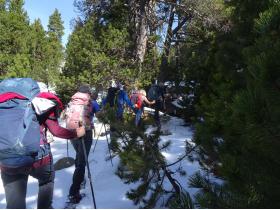 photo coins arrondis